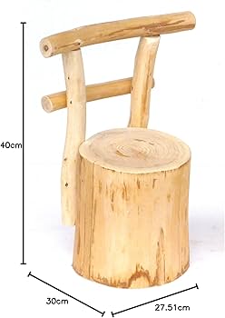 71ed+jjETTL._AC_UF350,